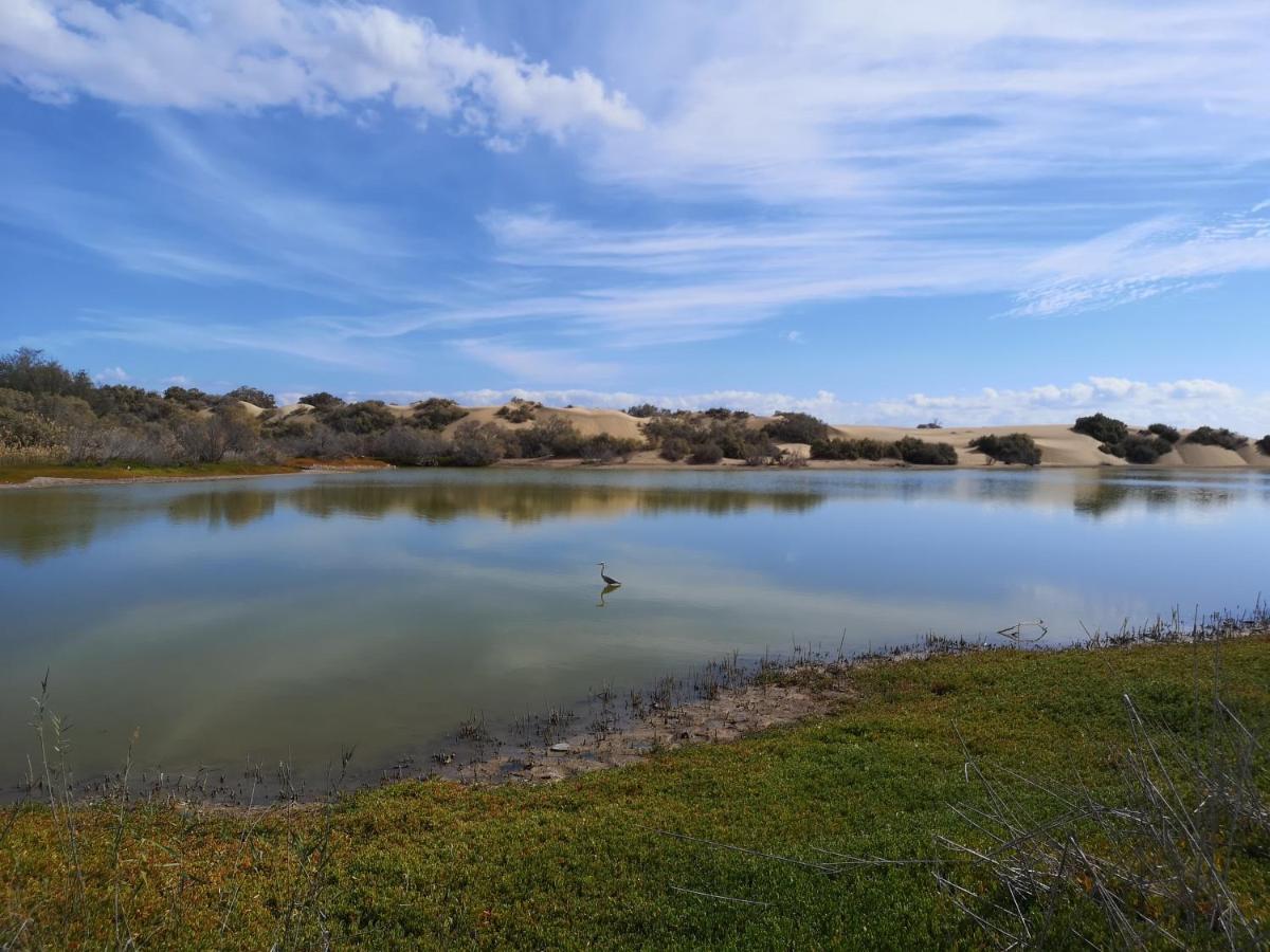 Maspalomas Casa La Loba 외부 사진