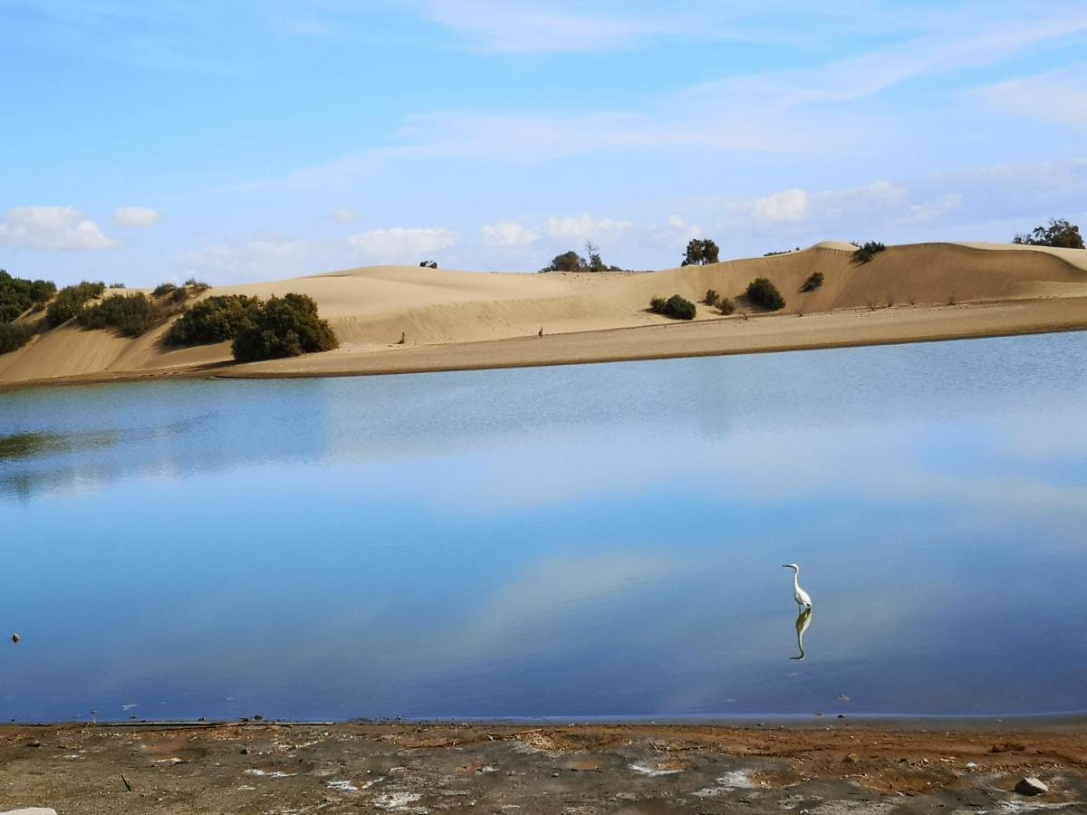 Maspalomas Casa La Loba 외부 사진